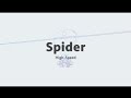 Spider / High-speed  (360wirecam)