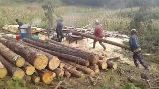 Timber production(Uchanaji wa mbao)  _Njombe Matembwe.