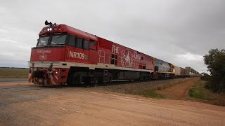 Qube Grain in SA: Trainspotting around Mallala \u0026 Virginia - 20/05/2020