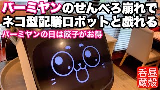 【バーミヤン】せんべろ崩れでネコ型配膳ロボットと戯れる