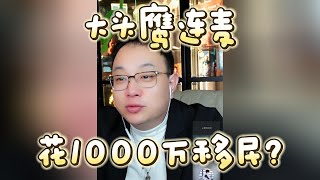 【大头鹰连麦】留学生花1000万移民值吗？#大头鹰 #大头鹰支招