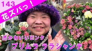 プリムラPrimulaララシャンテ見元園芸ハートのリース風寄せ植えギャザリング花がら摘みのやりかた【花ズバっ】143旬の花とその使いかた紹介/花創人ガーデニング教室