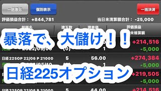 【19】暴落で大儲け！日経225オプション　デビットスプレッド【有料級】初心者が、実は1番FIREしやすい！儲かる　資産が増える　急落　暴落　日経平均　急騰　ビットコイン　バイナリー　米国株　レバナス