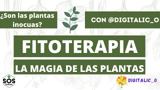 🌿Fitoterapia, la magia de las plantas🌿 Con Digitalic_o