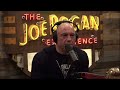 younger generations are not starting families｜joe rogan experience