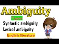 Ambiguity | What is ambiguity? | Ambiguity in literature | Definition of ambiguity | Ambiguit types