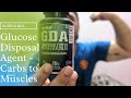 Nutrija GDA Supplement Review |  Glucose disposal Agent | Carbs to muscle ? | Carb blocker