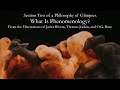 2. what is phenomenology