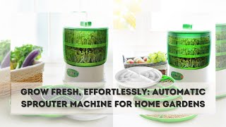 Automatic Sprouter Machine - Intelligent Automatic Bean Sprouts Maker