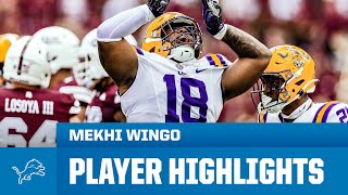 Mekhi Wingo Highlights | 2024 NFL Draft