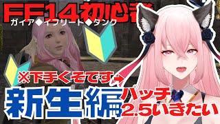 【FF14初心者🔰フリトラ中！】はやく蒼天いきたい【新生編パッチ2.4～】