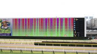 ロッタチャンセズ 3歳新馬戦 東京競馬場 現地撮影