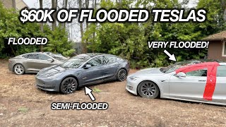 I Bought $60,000 In Flooded TESLAS at Auction. Let's Find Out If They Work!?