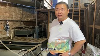 越南石金钱龟，居然掉到这个段位可以闭眼入