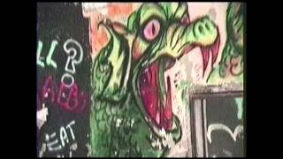 The Ghostly Tunnels of Northville Michigan