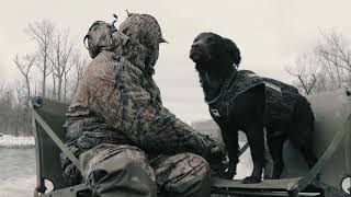 Understanding the Boykin Spaniel (A Valley Way Film)