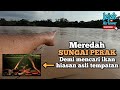 Setup akuarium 1.5 kaki untuk ikan tempatan