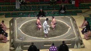 大相撲.2017.1.10(14)/千代栄(chiyosakae)-蓮台山(rendaiyama)/day3 #sumo