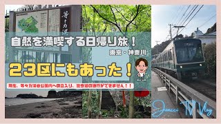 【都心のオアシス】等々力渓谷で自然を感じて｜江ノ電乗って海へ｜｜海も山も感じた週末【Juncci TV vlog】