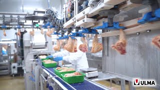 Bernard Royal Daupine - Turnkey solution for tray packaging and automated case packing