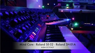 MIND CORE - Roland SE-02 \\\\ Roland SH-01A