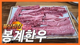 직영농장에서 직접키운 가성비 좋은 울산 봉계 한우암소 맛집 #울산맛집 #한우