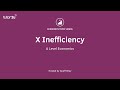 Economic Efficiency - X Inefficiency I A Level and IB Economics