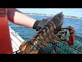 lobstering for idiots how to bug 101 some factoids about the maine lobster and the gear we use.