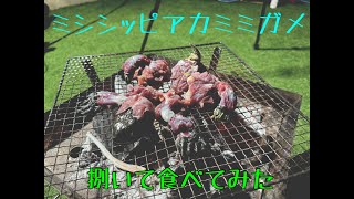 ミシシッピアカミミガメを捌いて食べてみました