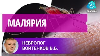 Доцент Войтенков В.Б.: Малярия