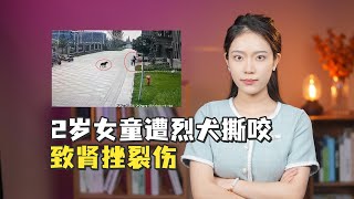 2岁女童遭烈犬撕咬致肾挫裂伤，必须让养狗失责的人付出代价！