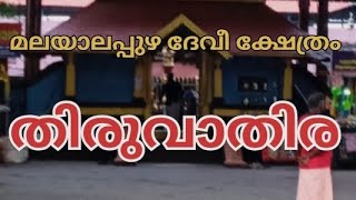 മലയാലപ്പുഴ ദേവീ ക്ഷേത്രം | തിരുവാതിര |16.03.2023 🙏🕉️