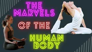 The marvel of the human body