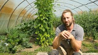 Portrait de ferme  - Le PotàGégène (50) - Nicolas Ozouf - 2022