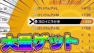 【必見】「ヨロイこうせき」や「けいけんアメ」を最速で大量回収できる○○をやってみたらヤバすぎたｗ【鎧の孤島／ポケモン剣盾】