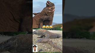 (Part 1) Komodo dragon swallows a shark#shorts#komodo#animals#wildlife