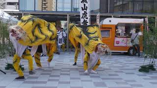 ２０２３大槌城山虎舞（北上・さくらポートタウン）