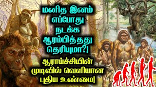 மனித இனம் எப்போது நடக்க ஆரம்பித்தது தெரியுமா?ஆராய்ச்சியின் முடிவில் வெளியான புதிய உண்மை!human facts!