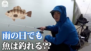 雨の日でも魚は釣れる??