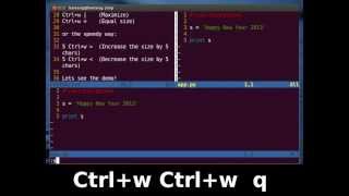Vim Tutorial - How to Resize Splits Screen