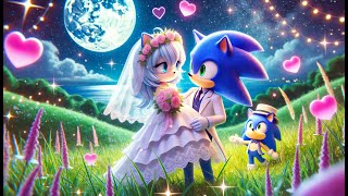 Is Sonic's Happy Ending with Amy the MOST Romantic? | Sonic The Hedgehog 3 Animation