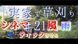 【実家で草刈り】医者から尿酸値下げる薬を処方された翌日、竹の伐採作業をする中、突然の風と秋雨がやけに身に染みた。　2022.10記録  #21