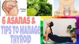 Tips to Manage THYROID | Effective Asanas to Regulate THYROID