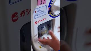 【ガチャガチャ】カプセルプラレール　パワフル牽引！貨物列車編 2024/05 #EF65 #300 #国鉄 #コンテナ #カプセルトイ