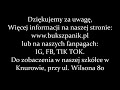 cyprysik tępołuskowy filicoides chamaecyparis obtusa efektowna roślina na skalniak i do donicy