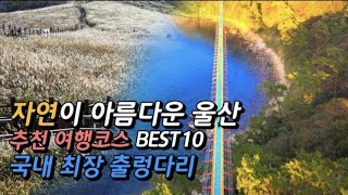 울산 여행 /국내여행 /간월재 억새평원/대왕암공원 /가을 추천 여행지/십리대숲/태화강 국가정원/꽃축제 /울산대교 전망대/간절곶