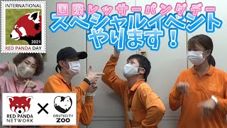 国際レッサーパンダデー2021スペシャルイベントやります！　We'll hold the International Red Panda Day special event at the zoo!