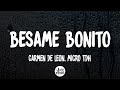 Bésame Bonito Remix - Micro TDH, Carmen de león (Letra/Lyrics)