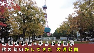 【札幌の朝】雪虫の多さにビックリ！秋の匂いがしてきた大通公園｜札幌初心者のぶらぶら散歩【北海道移住】