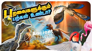 பரிணாமத்தால் பற்களை இழந்த பறவைகள் ! | Did ancient birds have teeth ? | #dinosaurs #birdslover